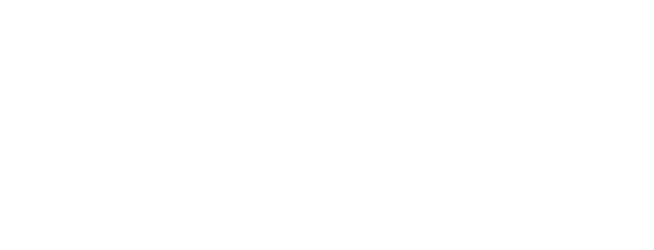 Netsoft